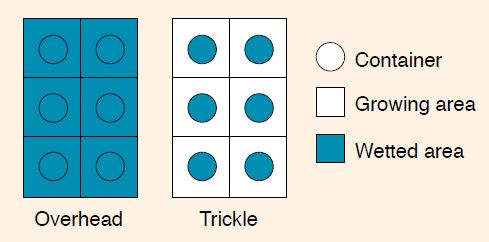 Diagram showing improvements in irrigation containment of a trickle system compared to an overhead watering system