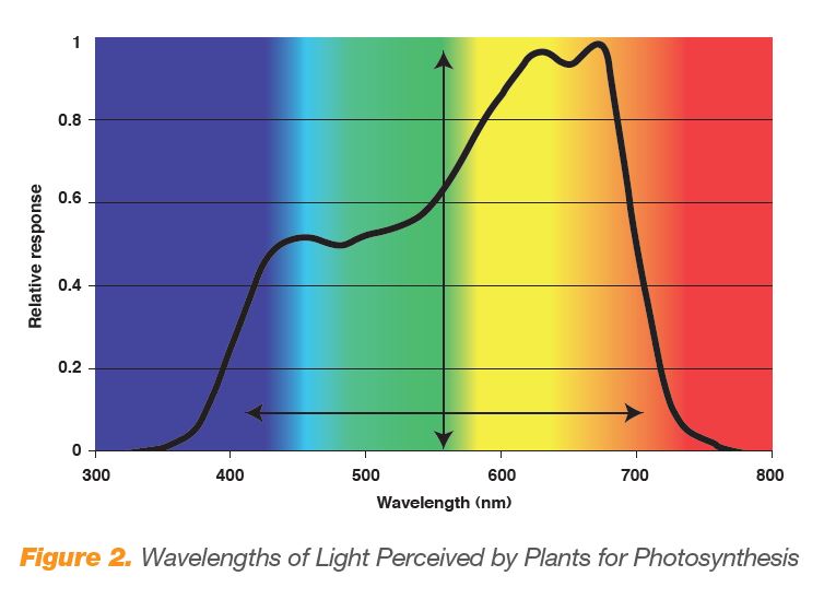 Line graph showing wavelengths of light perceived by plants for photosynthesis