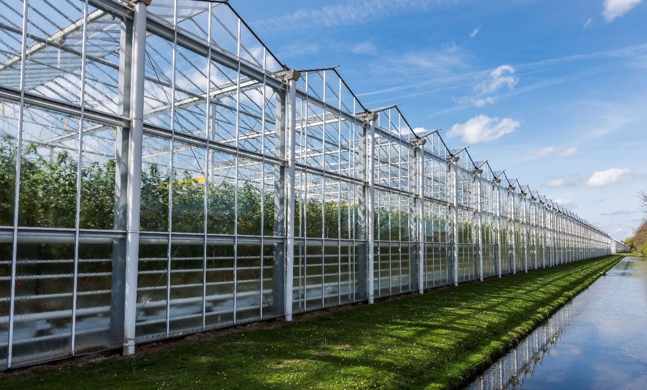 Alternative Greenhouse Materials